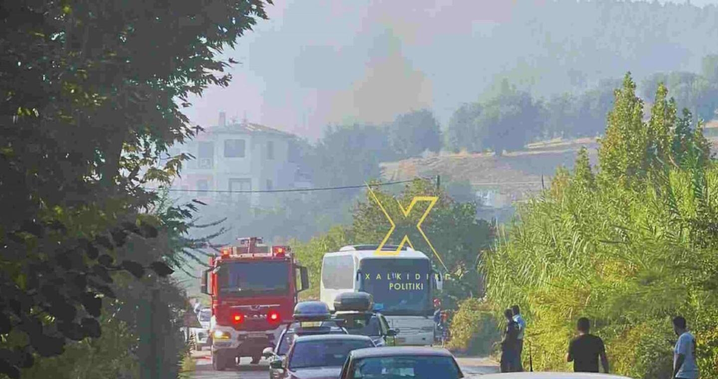 Φωτιά στη Χαλκιδική στην περιοχή Λαγόμανδρα - Ήχησε μήνυμα από το 112