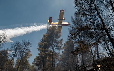 Χαλκιδική: Υπό έλεγχο η φωτιά στα Λαγόμανδρα – Επιχείρηση κατάσβεσης σε εξέλιξη