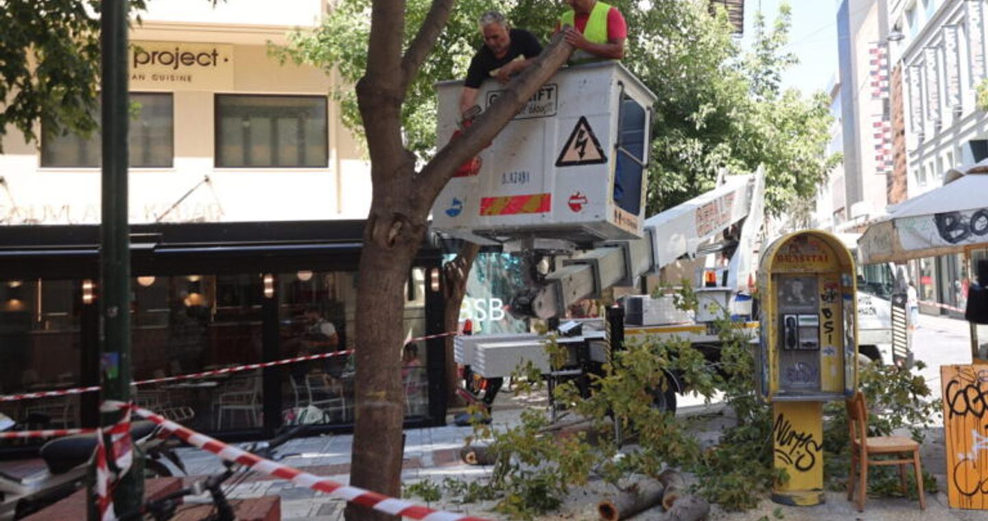 Πτώση δέντρου στην Ερμού λόγω των ισχυρών ανέμων