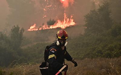 Μέγαρα: Μάχη με τις φλόγες στο Κουμίντρι – Άμεση επέμβαση!