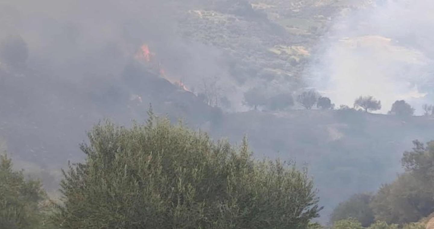 Φωτιά τώρα στο Άλσος Αχαΐας – Απανωτά μηνύματα του «112» για απομάκρυνση κατοίκων από οικισμούς – Ενισχυμένες δυνάμεις με 11 εναέρια μέσα