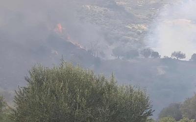 Φωτιά στην Αχαΐα: Εκκενώνονται οικισμοί, μάχη με τις φλόγες!