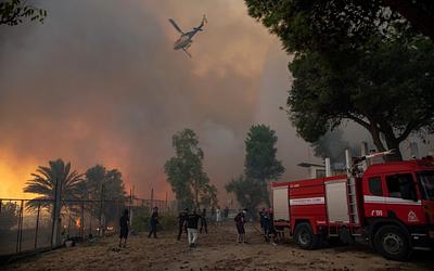 Φωτιά στα Οινόφυτα Βοιωτίας: Μάχη με τις φλόγες