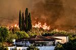 Απόγνωση στην Αρχαία Ολυμπία: Η Φωτιά Απειλεί, Εκκενώσεις σε Εξέλιξη!