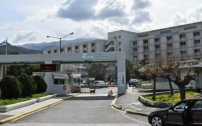 Έξαρση του ιού του Δυτικού Νείλου: Νέα κρούσματα και ανησυχία στην Ελλάδα!