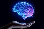 Εντοπίστηκε «ρολόι απόστασης» στον εγκέφαλο! Τι σημαίνει αυτό;