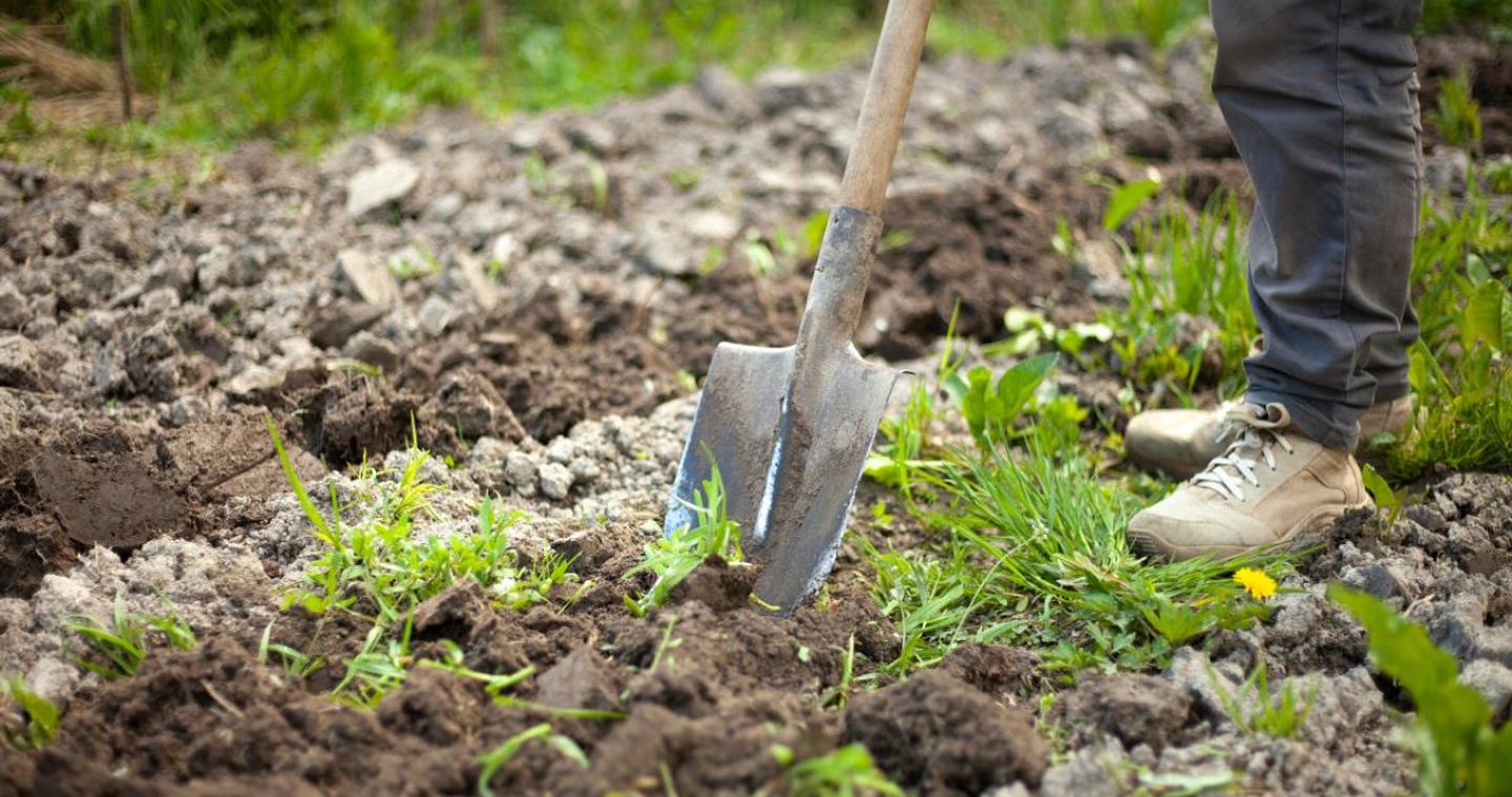 Φρίκη στη Βοιωτία: Γυναίκα έθαψε τη μητέρα της στην αυλή του σπιτιού της για να παίρνει τη σύνταξή της