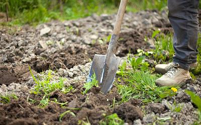 Βοιωτία: Διευθύντρια ΚΕΠ ομολόγησε ότι έθαψε τη μητέρα της για την σύνταξη!