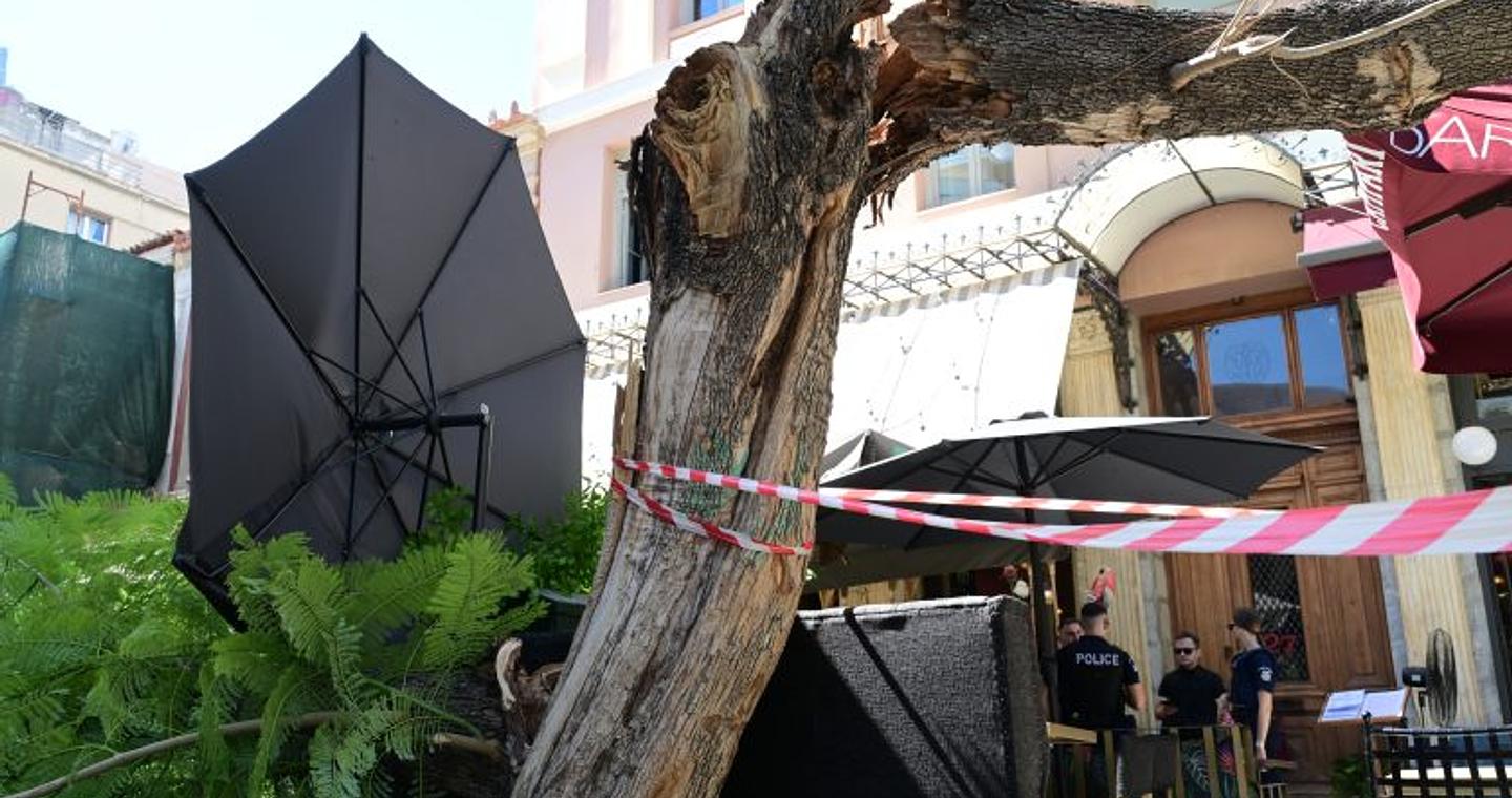 Πτώση δέντρου στο κέντρο της Αθήνας – Δύο τραυματίες (φωτογραφίες)