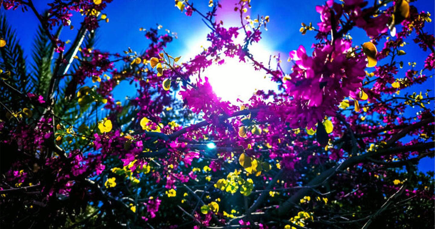 Καιρός: Σταδιακή εξασθένηση ανέμων και μικρή άνοδος της θερμοκρασίας – Πρόγνωση από την Α. Τυράσκη