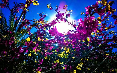 Εξασθενούν οι βοριάδες, ανεβαίνει η θερμοκρασία: Τι καιρό θα κάνει τις επόμενες μέρες;