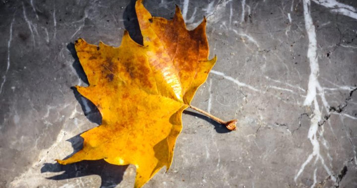 Καιρός: Ξεκίνημα Φθινοπώρου το Σάββατο – Πρόγνωση από τον Π. Γιαννόπουλο