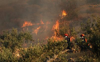 Κορινθία: 28χρονος συνελήφθη για πυρκαγιά – Τι θα συμβεί αύριο;