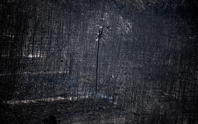 Κλιματική αλλαγή: Η Ευρώπη σε κίνδυνο λόγω περιβαλλοντικής υποβάθμισης!