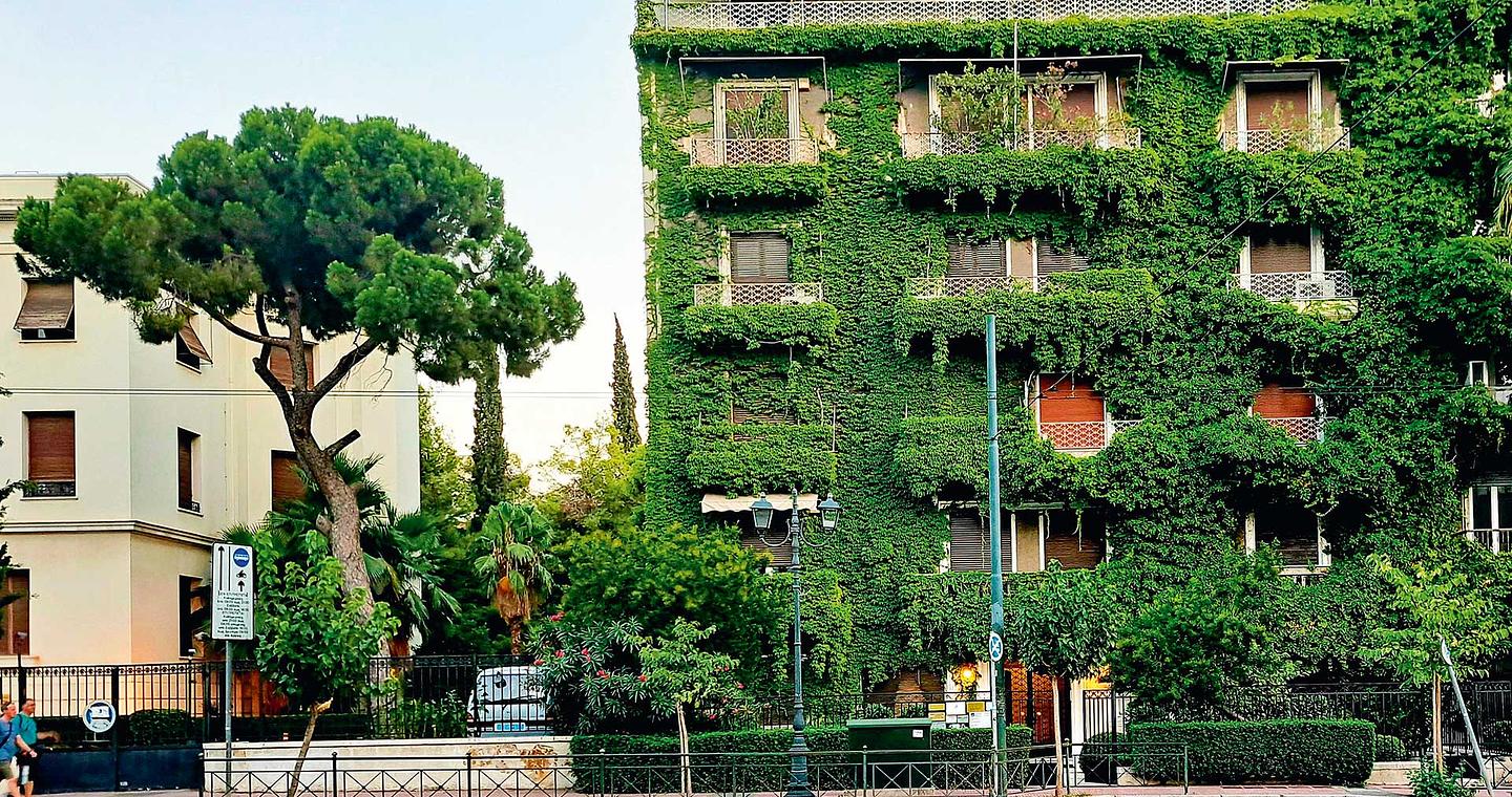 Μια πράσινη Βασιλίσσης Σοφίας