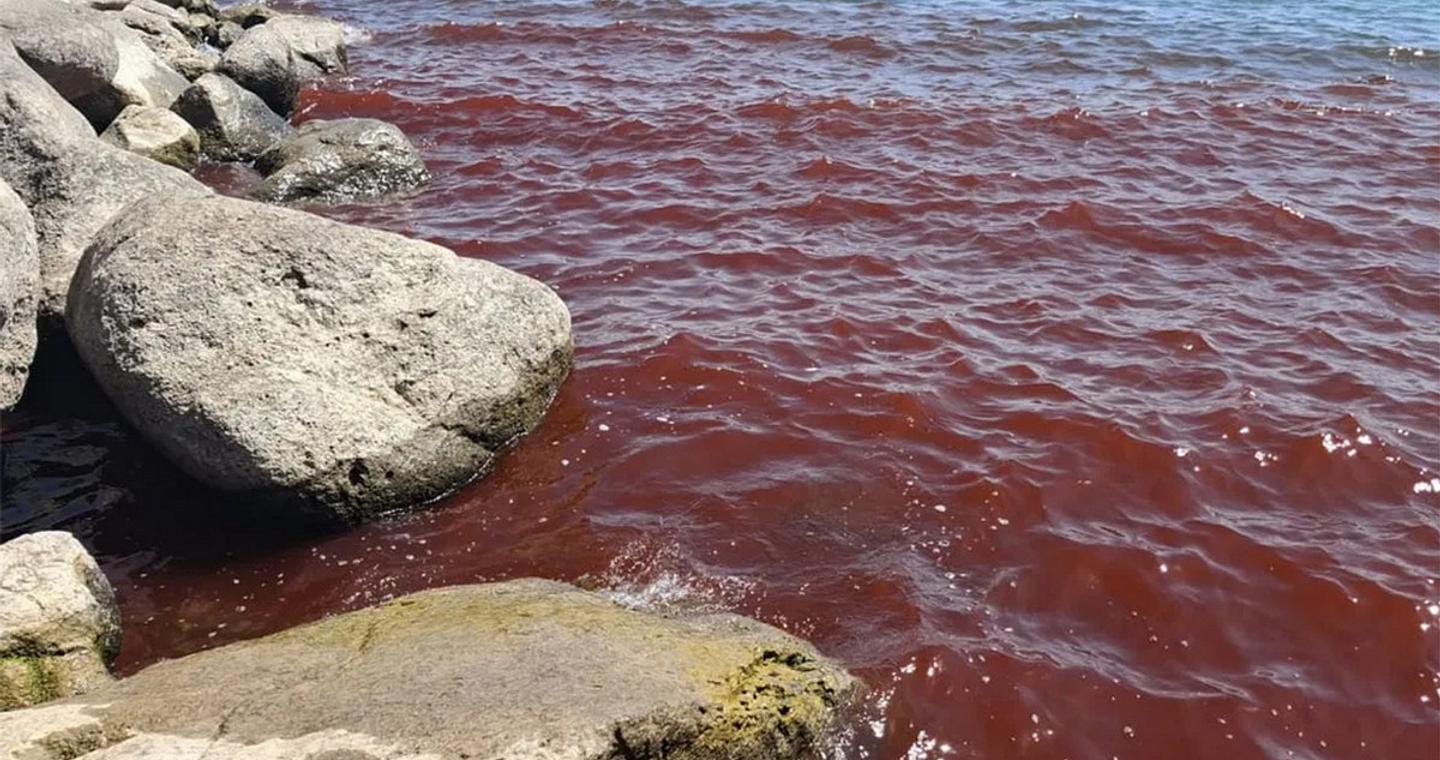 Γιατί η Θάλασσα της Γαλιλαίας στο Ισραήλ «βάφτηκε» κόκκινη – Δείτε φωτογραφίες και βίντεο