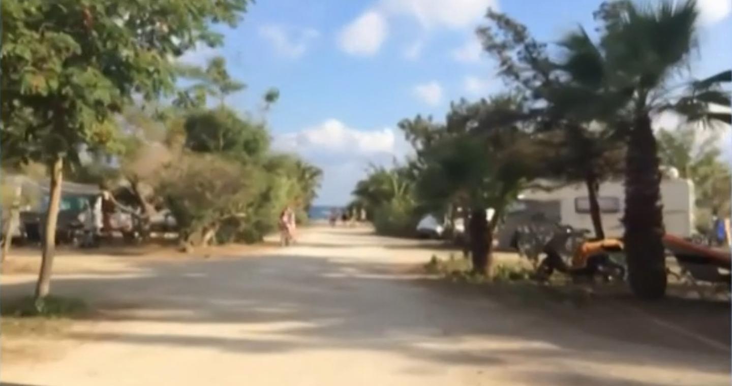 Διπλό φονικό στη Μεσσηνία: Η επίθεση πριν έναν μήνα και οι εκτιμήσεις της ΕΛ.ΑΣ.