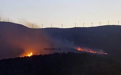 Φωτιές παντού! 112 σε Κεφαλονιά, Ζάκυνθο, Φωκίδα – Μάχη με τις φλόγες
