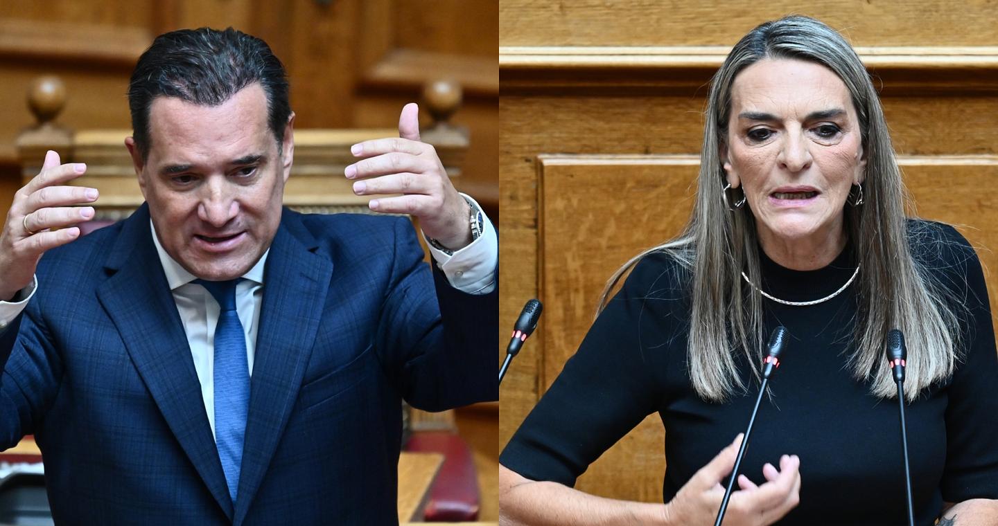 Μετωπική Γεωργιάδη με Πέρκα για τον στολίσκο στη Γάζα: «Κανείς δεν σας απήγαγε, για selfie πήγατε»