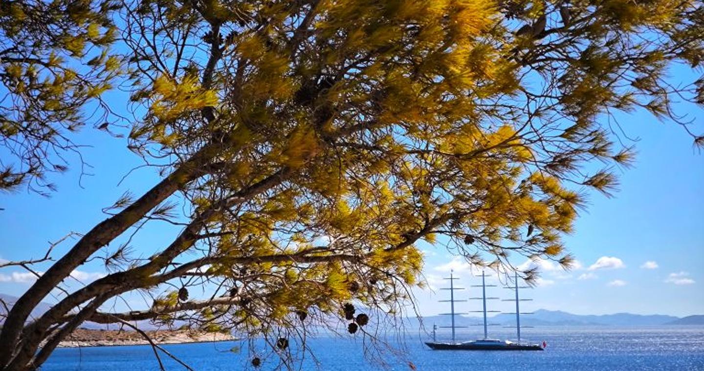 Καιρός: Βελτιωμένος με ηλιοφάνεια και άνοδο της θερμοκρασίας – Πρόγνωση από την Α. Τυράσκη