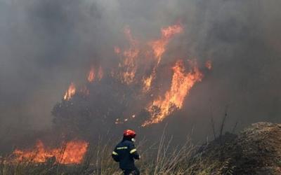 Αχαΐα: Εφιάλτης με τις φλόγες – Εκκενώσεις και αγωνία στην Πάτρα!