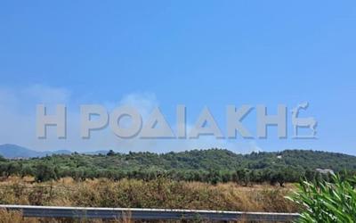 Ρόδος φλέγεται ξανά! Εφιάλτης κοντά στην Κοιλάδα των Πεταλουδών!