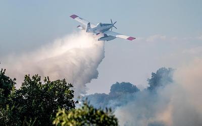 Εύβοια: Μάχη με τις φλόγες δίπλα σε σπίτια στους Ζάρκους