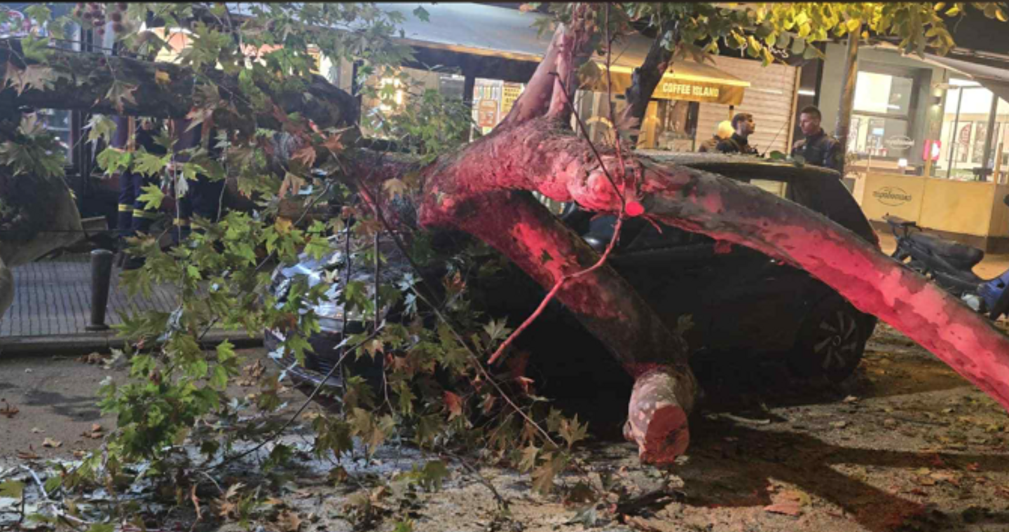 Δέντρο έπεσε πάνω σε ΙΧ σε κεντρικό δρόμο της Θεσσαλονίκης