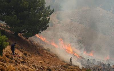 Φωτιές σε όλη την Ελλάδα: Μάχη με τις φλόγες και τους ανέμους!