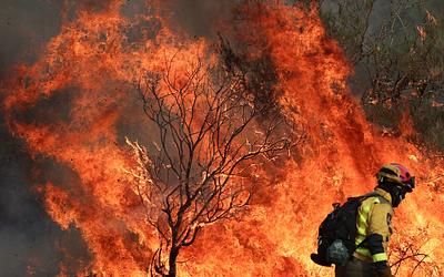Πολύ υψηλός κίνδυνος πυρκαγιάς: Συναγερμός για Αττική και άλλες περιοχές!