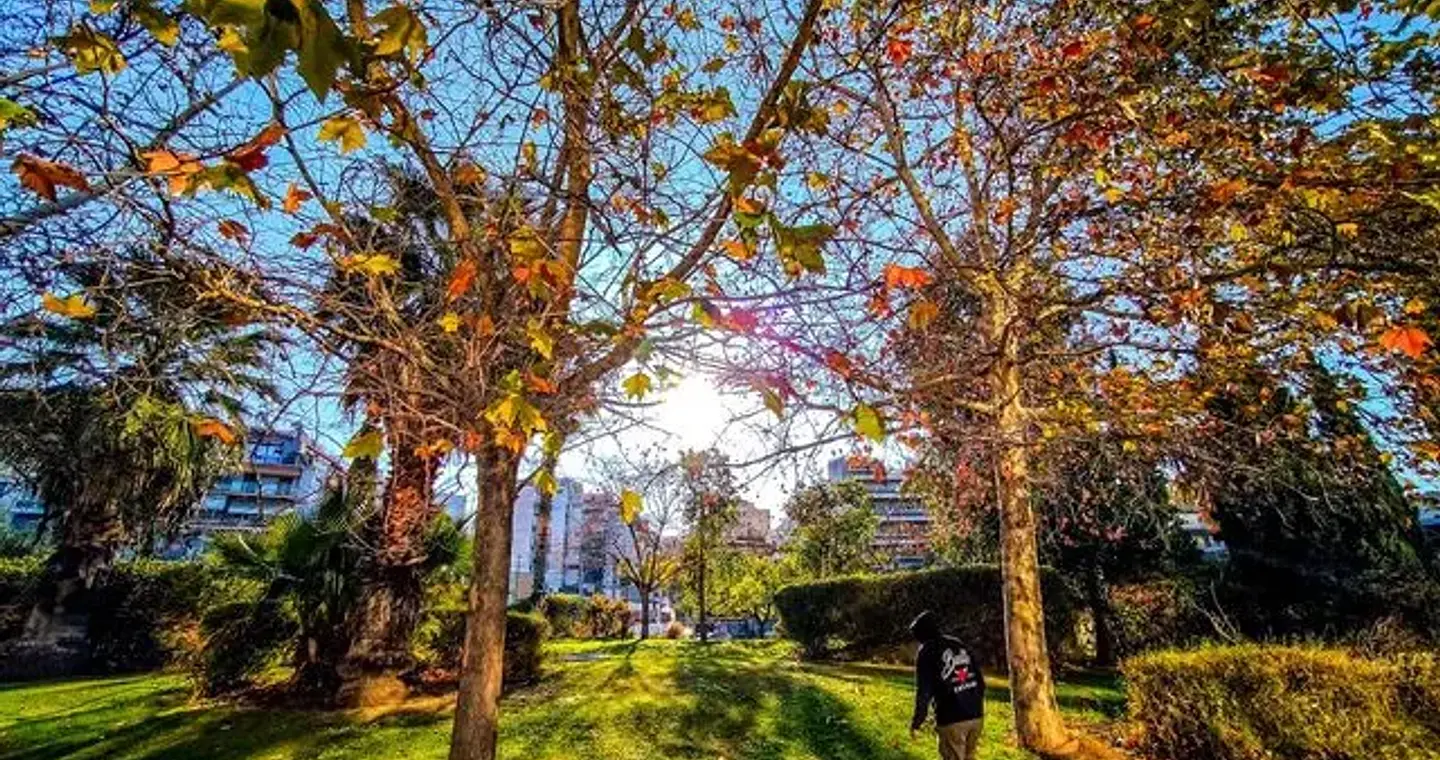 Ανοιξιάτικος καιρός με ήλιο – Πότε επιστρέφουν οι βροχές