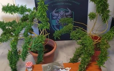 Χανιά: Συνελήφθησαν τρεις αλλοδαποί για απόπειρα ανθρωποκτονίας και ναρκωτικά