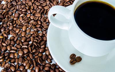 Καφές από… κακά: Η επιστήμη αποκαλύπτει το μυστικό της γεύσης!