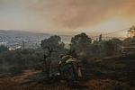 Αχαΐα: Συλλήψεις για την πυρκαγιά στα Συχαινά – Τι ομολόγησε ο 19χρονος