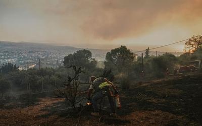 Αχαΐα: Συλλήψεις για την πυρκαγιά στα Συχαινά – Τι ομολόγησε ο 19χρονος