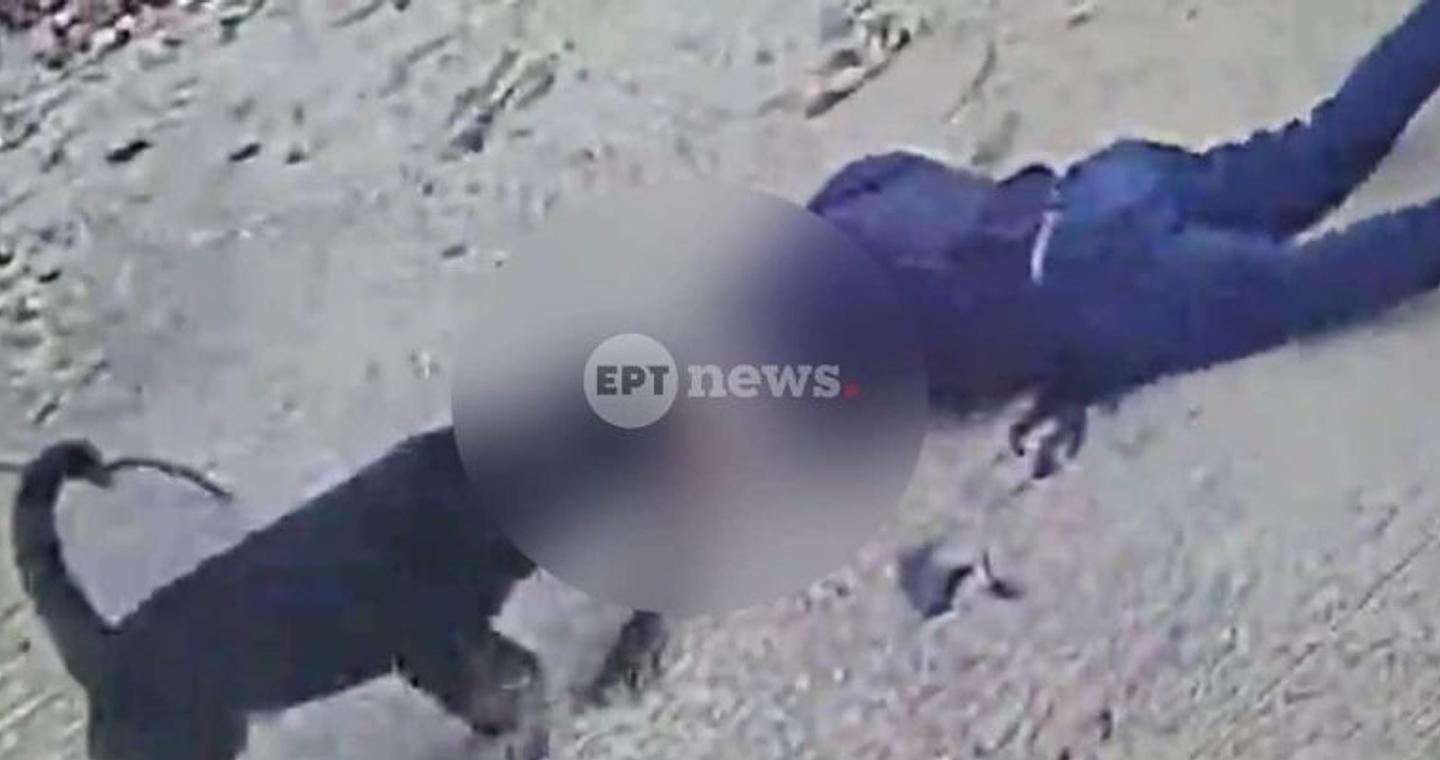 Καλαμάτα: Η στιγμή της επίθεσης του ροτβάιλερ στον ιδιοκτήτη του – Είπε ο ίδιος στον αστυνομικό να πυροβολήσει