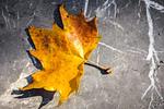 Πρόγνωση καιρού: Τι καιρό θα κάνει το πρώτο Σ/Κ του Νοέμβρη;