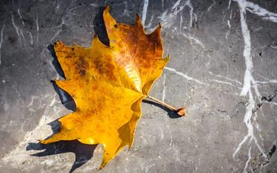 Πρόγνωση καιρού: Τι καιρό θα κάνει το πρώτο Σ/Κ του Νοέμβρη;
