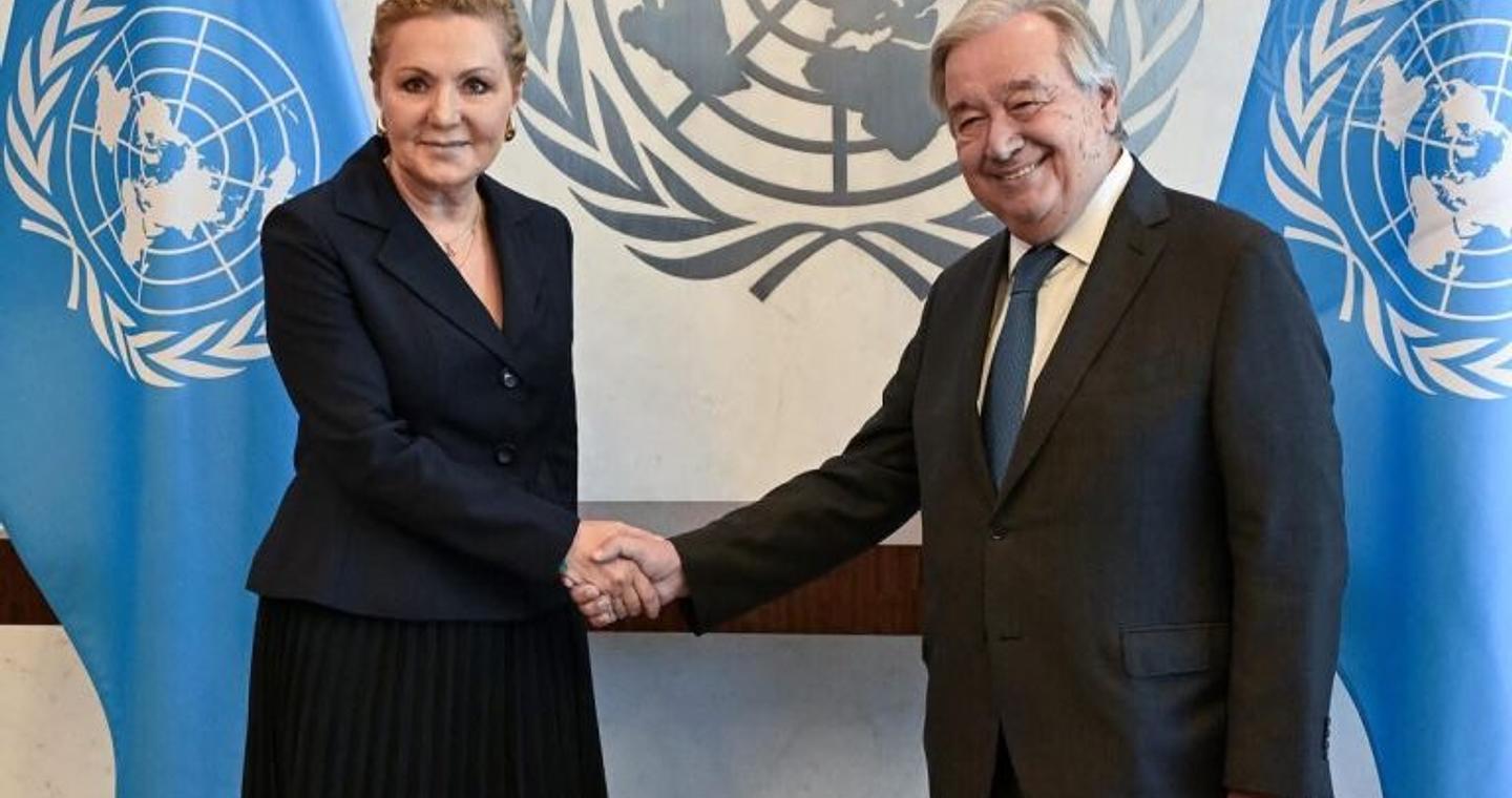 Η πρέσβης Α. Μπαλτά στο ΣΑ ΟΗΕ: Η κλιματική αλλαγή αποτελεί συστημική απειλή για την παγκόσμια σταθερότητα