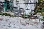 Κρήτη: Έκκληση για δράση μετά το αιματηρό περιστατικό στα Βορίζια