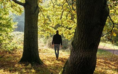 Η παγκόσμια έρευνα αποκαλύπτει: Ποιες χώρες είναι πιο κοντά στη φύση;