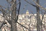ΚΚΕ: «Άθλια επίθεση» της κυβέρνησης στον Δήμο Πατρέων για τις πυρκαγιές