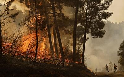 Καύσωνας: Τρίτος νεκρός στην Ισπανία, μάχη με τις φλόγες σε Πορτογαλία, Ιταλία