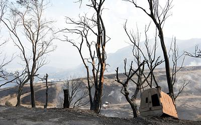 Εφιάλτης πυρκαγιών: «Δεν έχουμε επιλογή, θα ζούμε με αυτό»