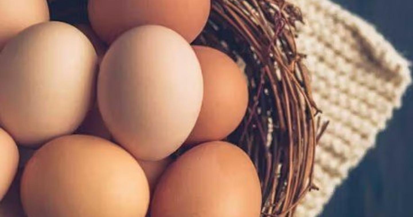 Η γρίπη των πτηνών φέρνει κρίση των αυγών