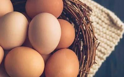 Γρίπη των πτηνών: Επιστροφή τρόμου και «ακρίβεια αυγού» στην Ευρώπη!