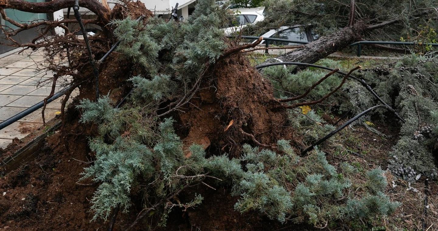 Καιρός: Πτώσεις δέντρων από την κακοκαιρία, ζημιές σε Ι.Χ. – Περιοχές με τα μεγαλύτερα προβλήματα