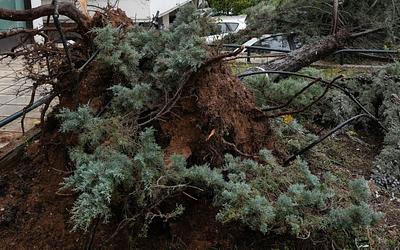 Κακοκαιρία σφυροκοπά: Δέντρα, πλημμύρες και χάος σε Θεσσαλονίκη, Ήπειρο, Κέρκυρα!