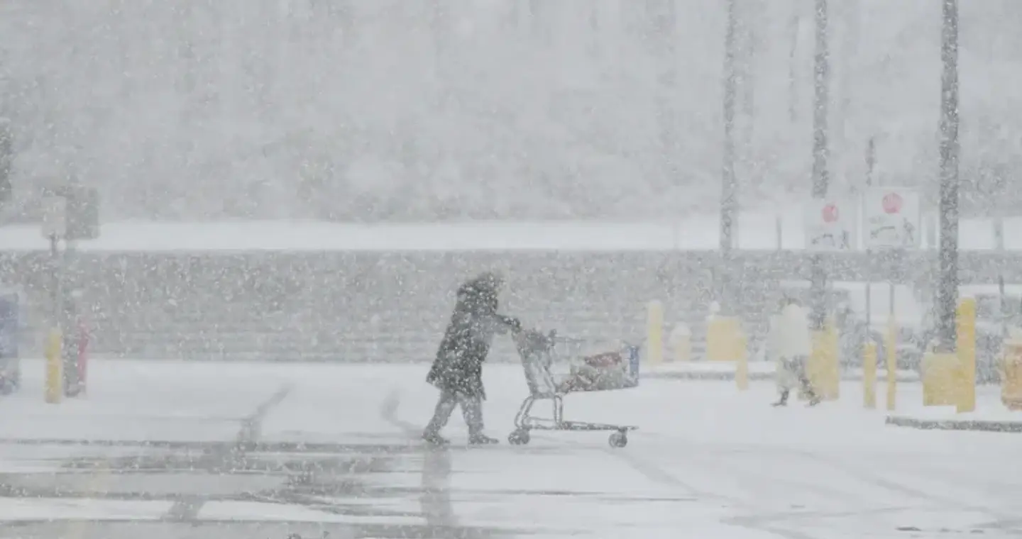 Ρεκόρ ψύχους στις Ηνωμένες Πολιτείες: «Χιονοθύελλα λίμνης» στο Μίσιγκαν, παγωμένα ιγκουάνα στη Φλόριντα (βίντεο)