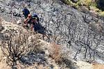 Πάτρα: Πυροσβέστης έπεσε σε χαράδρα κατά την κατάσβεση – Άμεση κινητοποίηση!